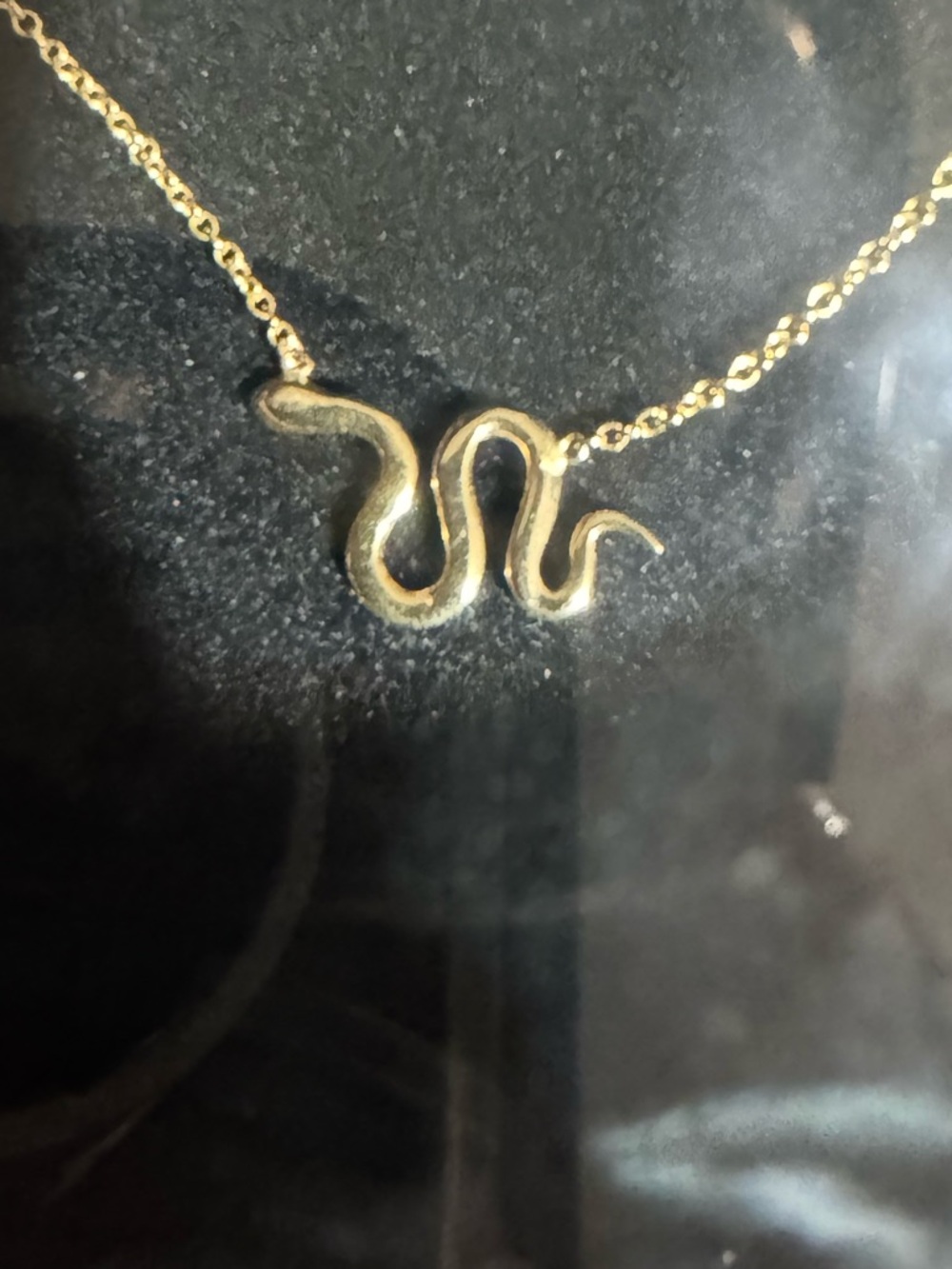 Ariel Gordon Dainty Solid Gold Snake Necklace - Picture 5 of 5